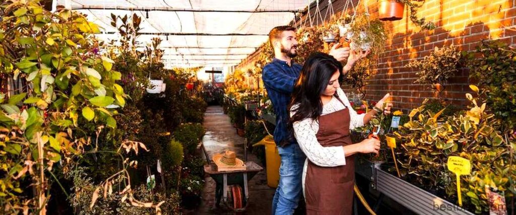 Top 7 Garden Centers in Birmingham