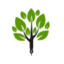 A&T Tree Services