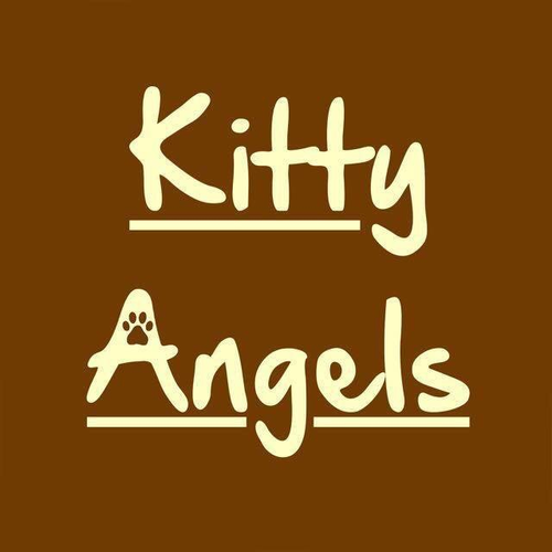 Kitty Angels Birmingham