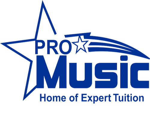 Pro Music Tuition