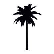 The Coconut Tree