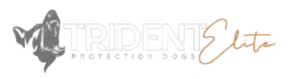 Trident Elite Family Protection Dogs